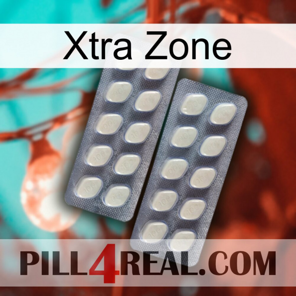 Xtra Zone 07.jpg